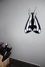 Load image into Gallery viewer, Clymene "Goth Moth" Suncatcher